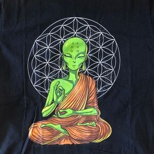 Alien in Lotus and Mudra Pose Men’s L* Black Graphic T-shirt Cotton